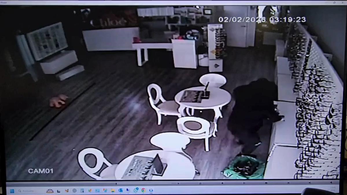 Nuevo robo en una óptica de Torrevieja: se llevan casi 300 gafas