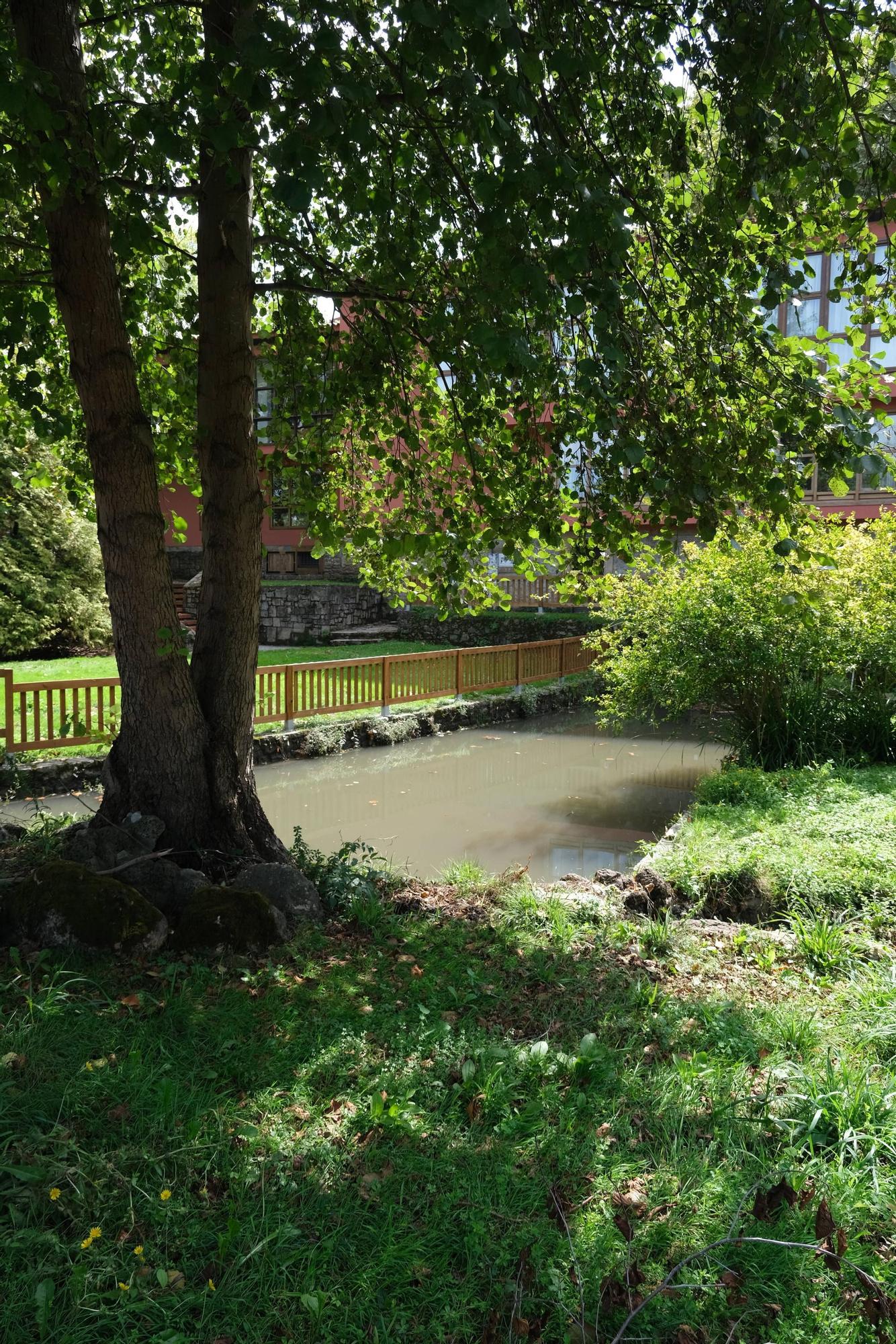 La intensa lluvia sube el agua de la laguna de Isabel la Católica (en imágenes)