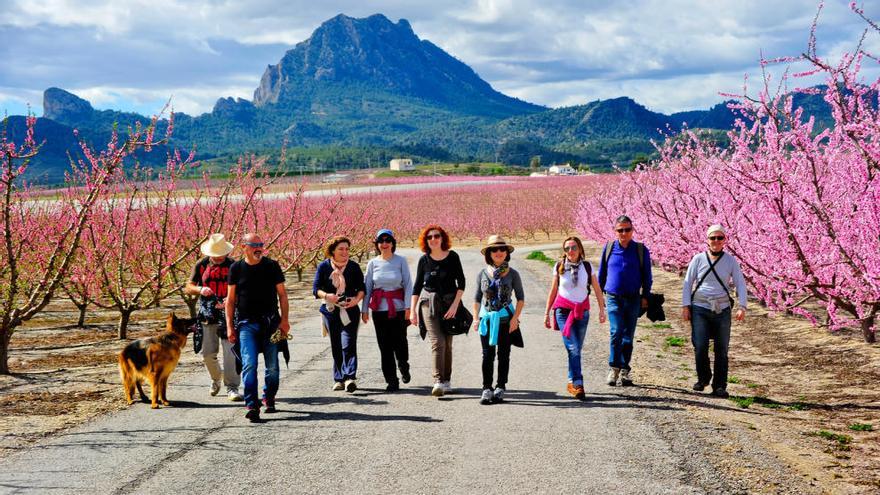 De la floración a la aventura entre las aguas del Segura