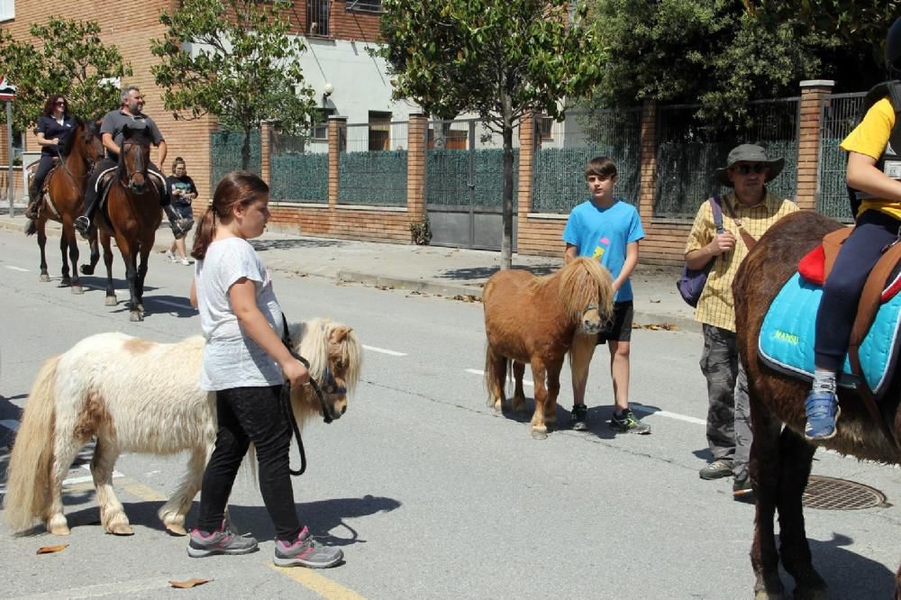 Tres Tombs de Sant Fruitós