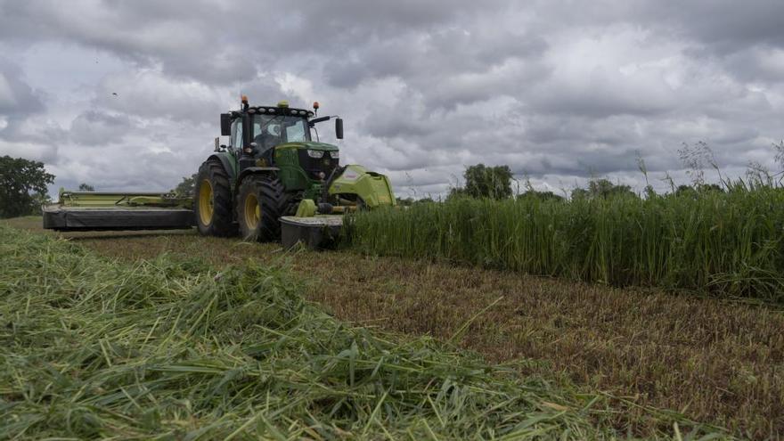 Castilla y León acapara el 60% del Plan Renove agrícola