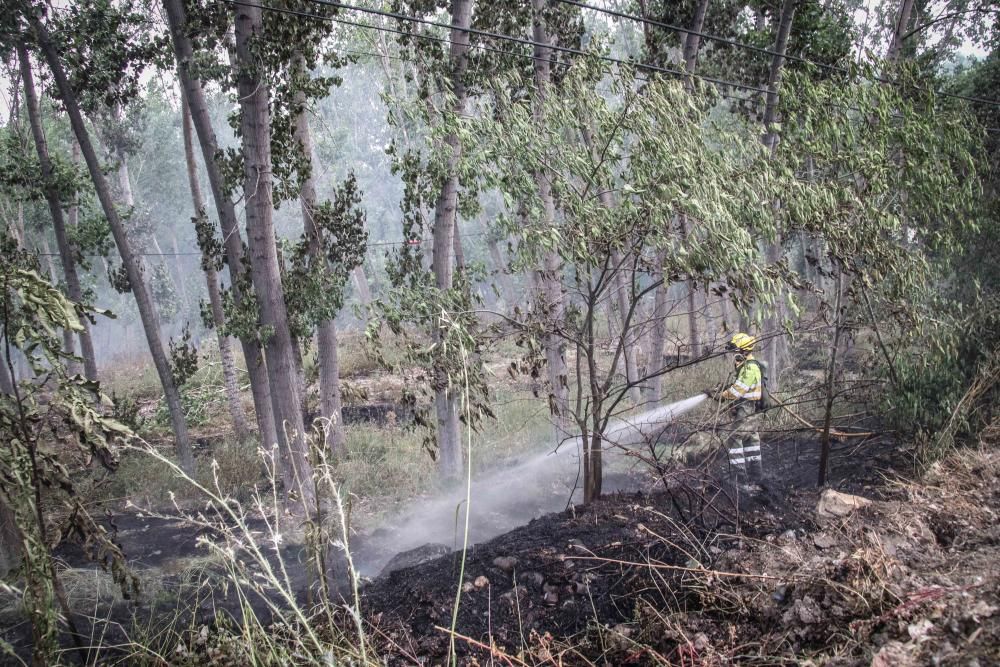 Incendio forestal en Muro