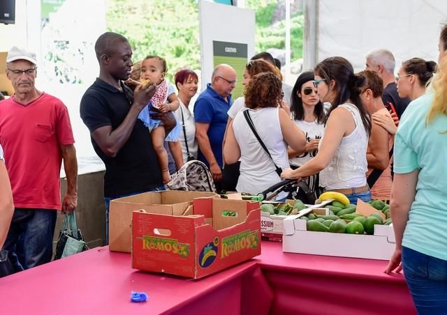 II Feria del Aguacate en Arguineguín