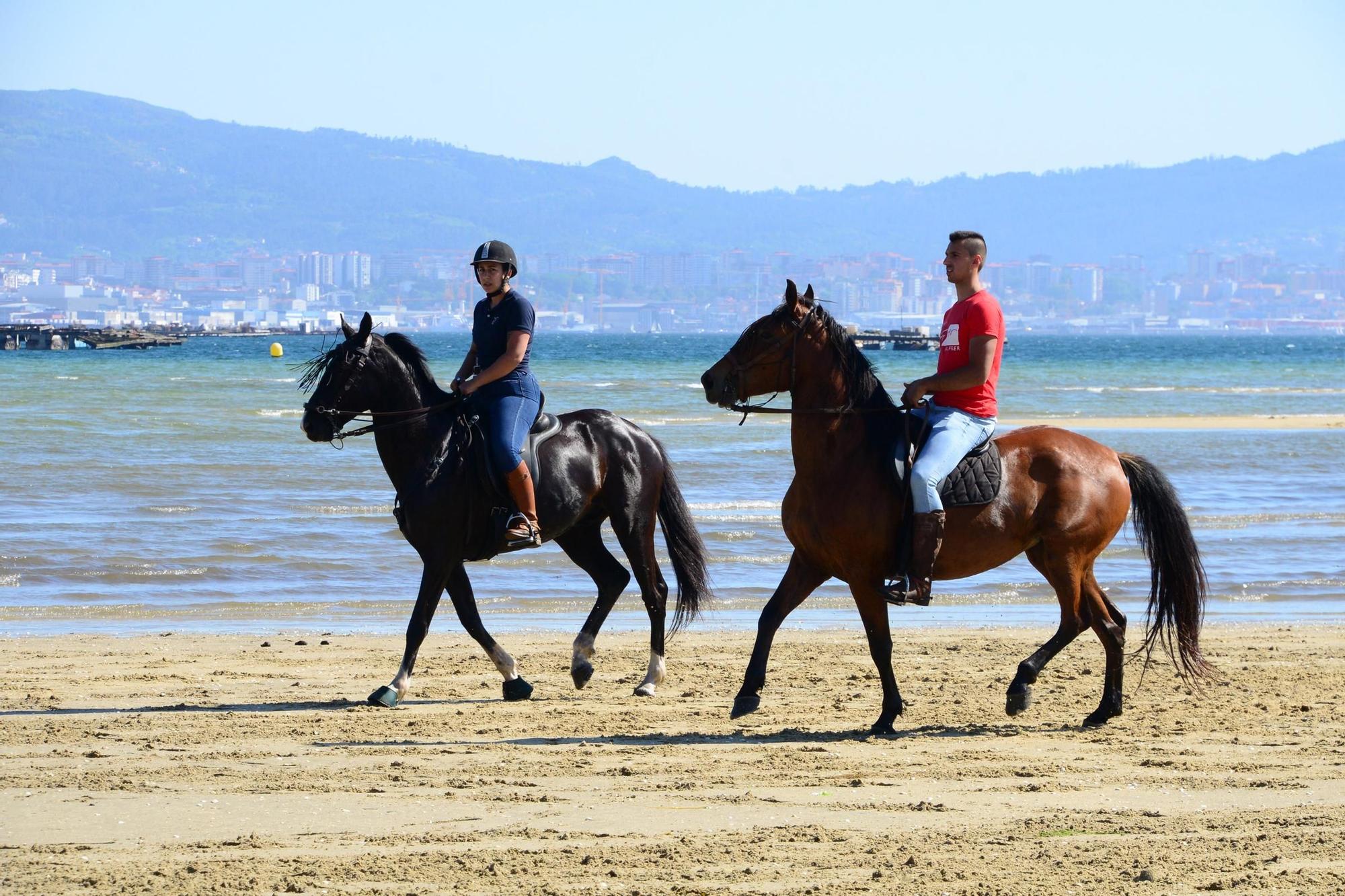Una espectacular jornada a caballo por Moaña (I)