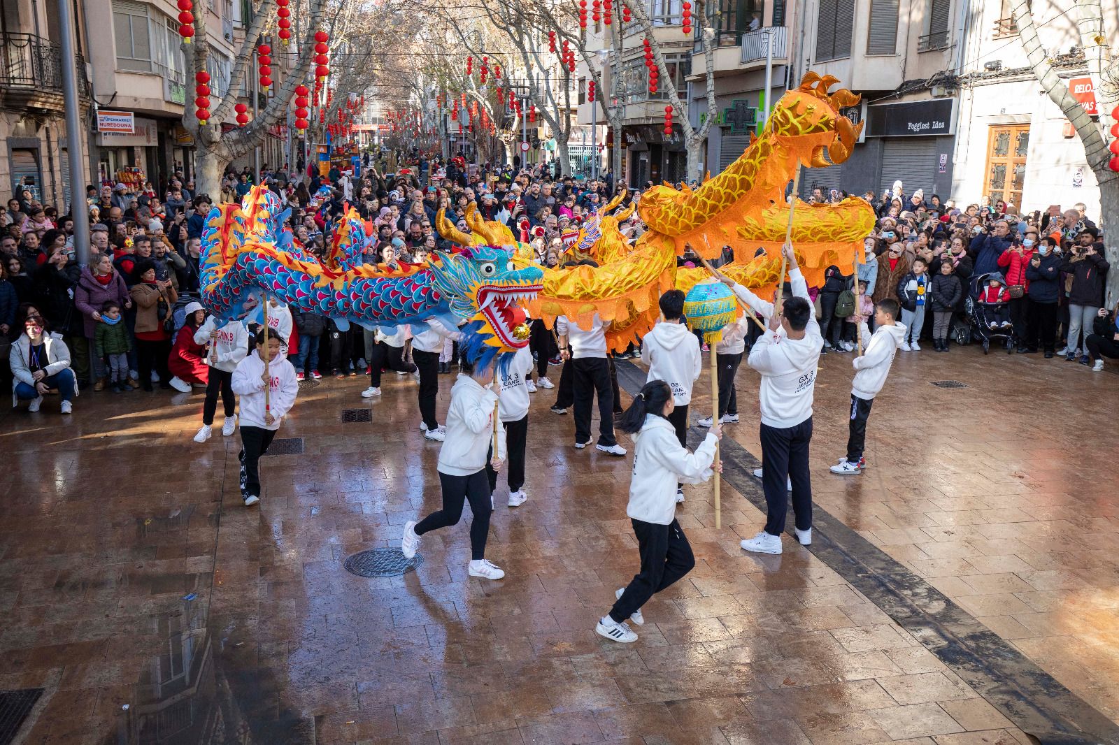 Palma celebra el Año Nuevo Chino