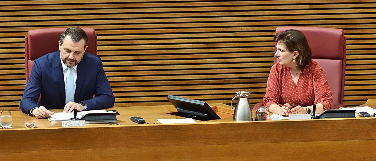 El presidente de Aerte, José María Toro, junto a la presidenta de la comisión, ayer en las Corts.