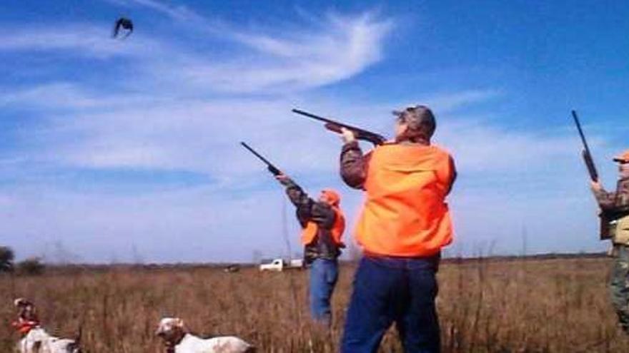 La crisis provoca una caída en picado de las licencias de caza en la Región