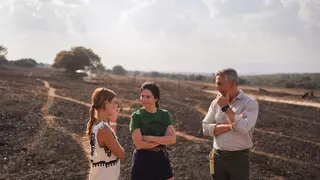 Ayuso aboga por la colaboración contra los incendios y deja un recado a Puente: "El Twitter hay que dejarlo para otro momento"