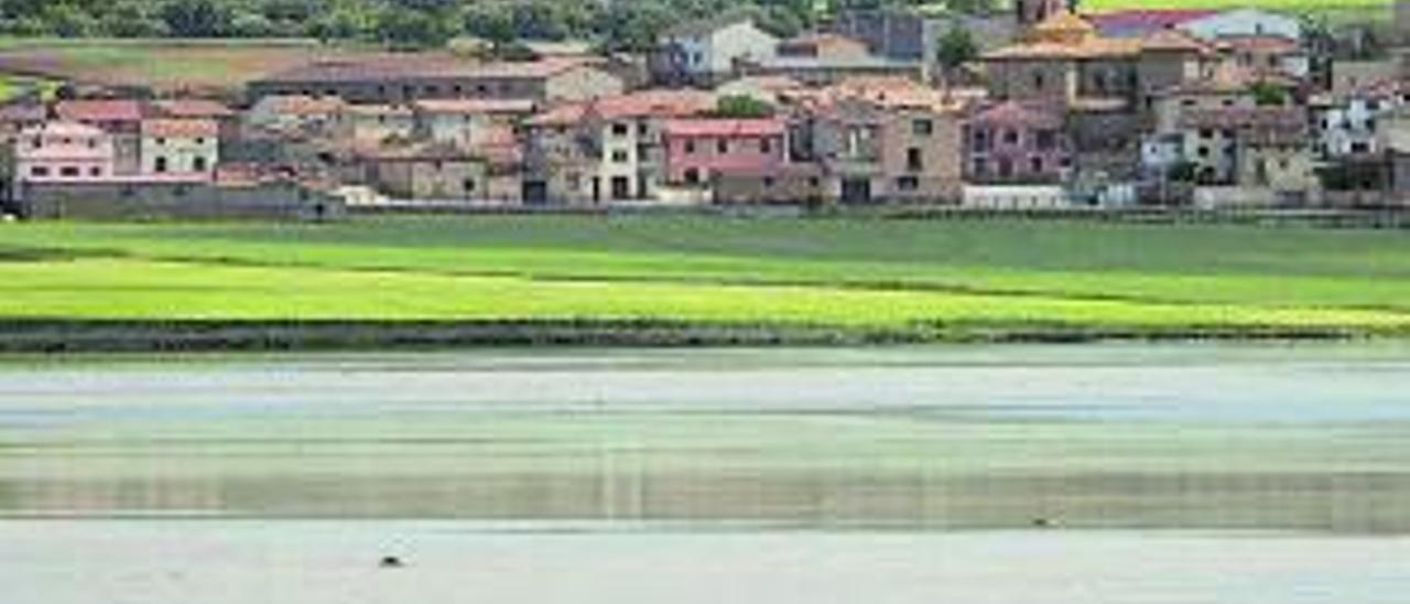 Gallocanta, reserva natural de Aragón y considerada la mayor laguna salada de Europa.