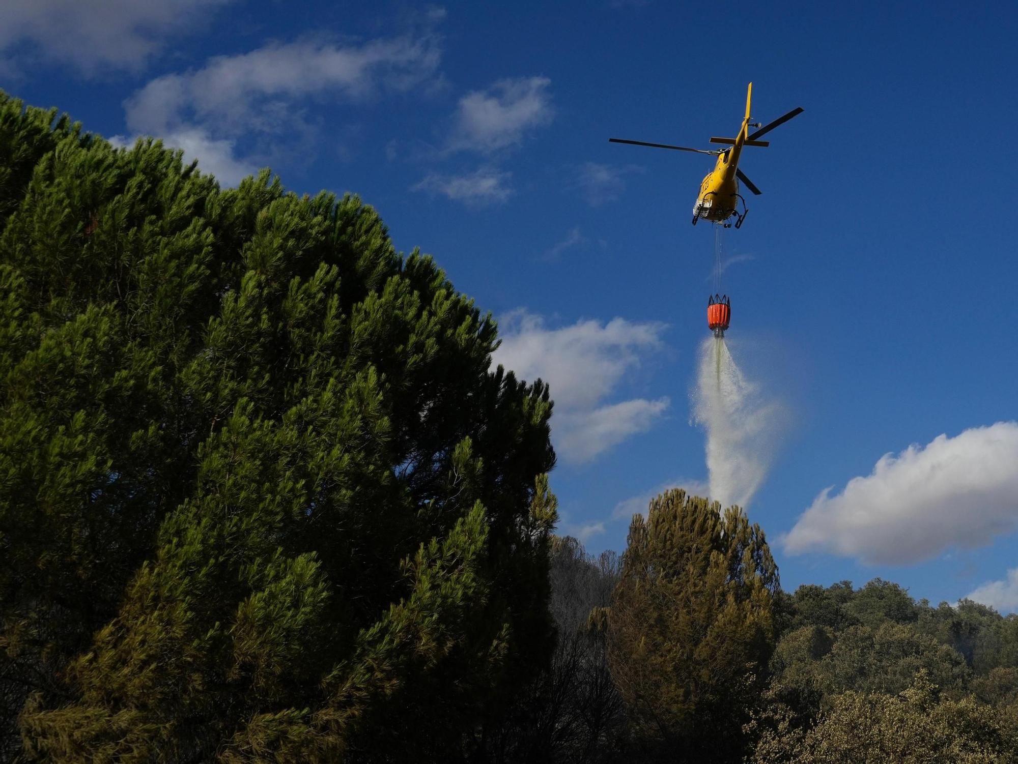 Incendio en el entorno de la Fuente de la Salud de Zamora