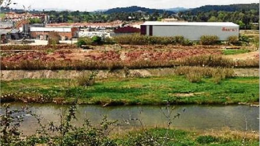 Les basses a tocar del riu, ara ja inutilitzades i taponades amb pilones de sorra