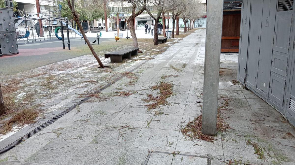 GALERÍA | Los estragos de la tormenta de granizo en Zamora