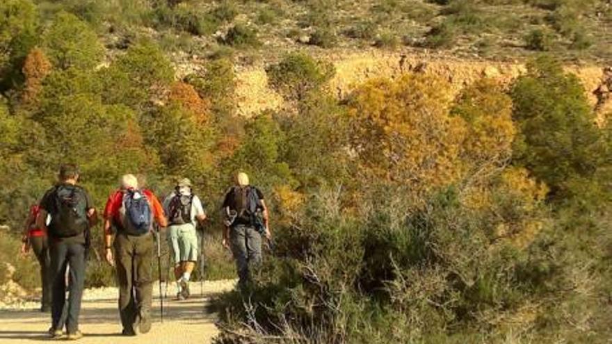 Crevillent refuerza la vigilancia en la sierra en verano para evitar incendios