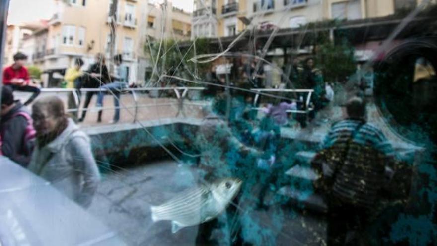 Vecinos miran uno de los tanques del acuario recién reinaugurado en la Plaza Nueva.