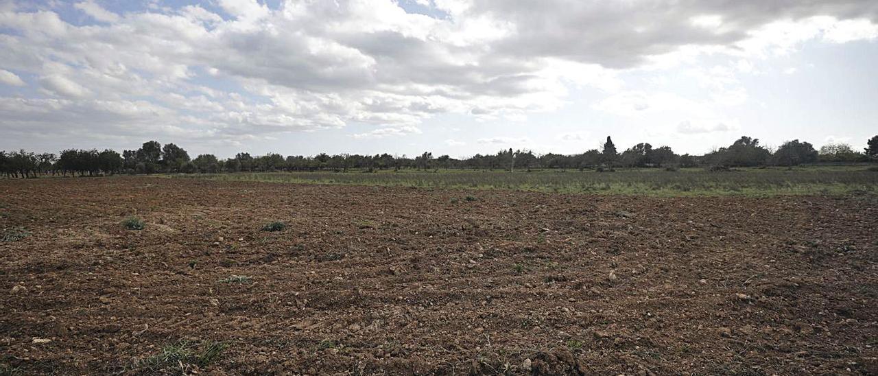 Los agricultores están preocupados por la sequía actual que afecta al campo.