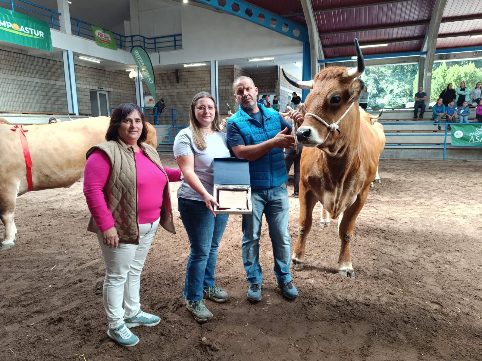 En imágenes: los premiados en la Muestra ganadera local de Cangas del Narcea