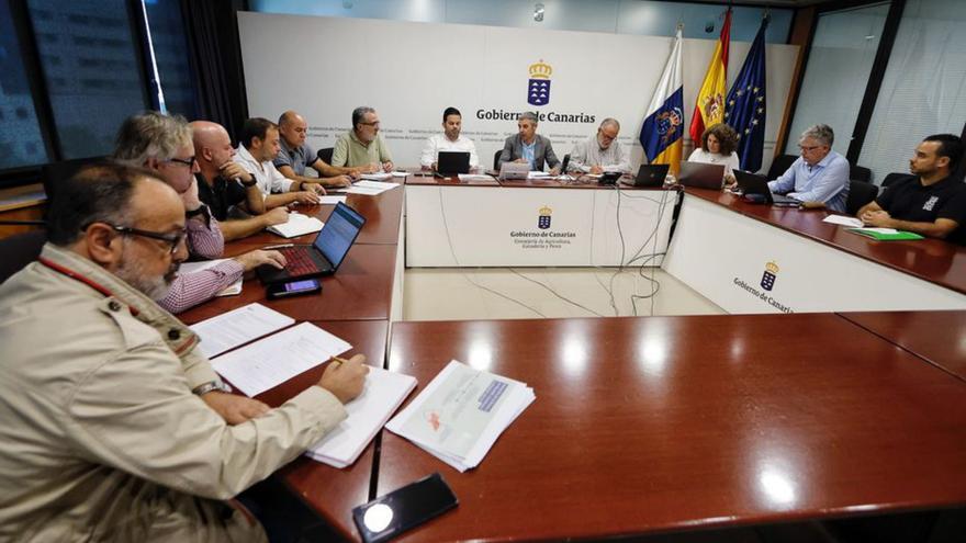 Constitución del comité de expertos, en sepiembre de este año. | MARÍA PISACA