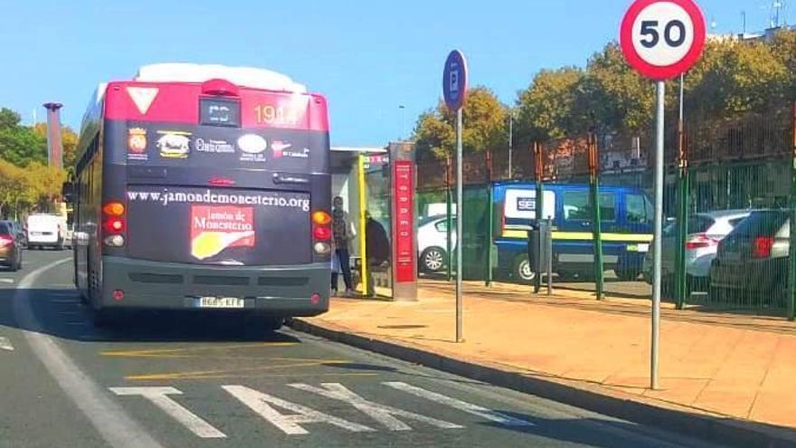 El Jamón de Monesterio viaja en los autobuses urbanos de Sevilla