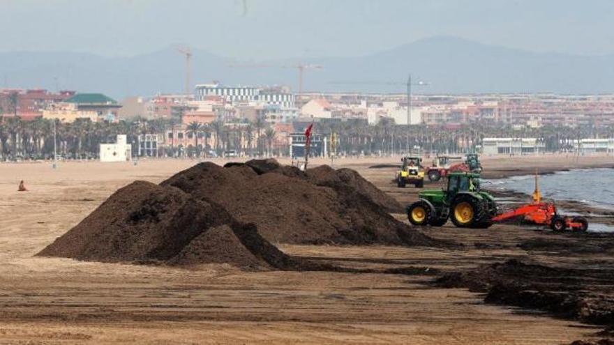 Ximo Puig contempla como posibilidad real poder utilizar las playas en verano