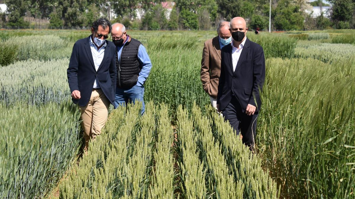 Visita institucional de Jorge Llorente a la finca experimental.