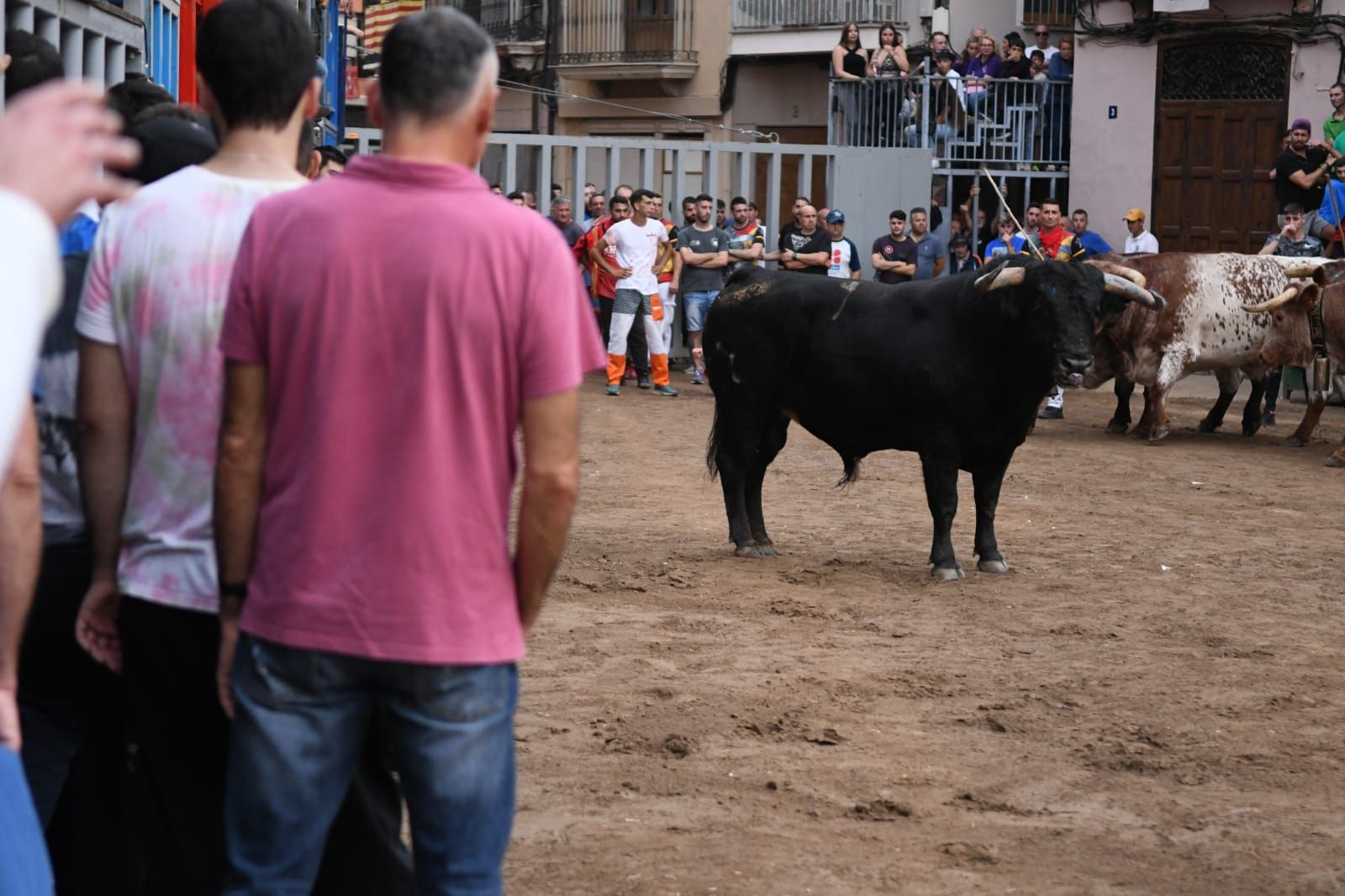 Exhibición de cuatro toros de Partida Resina en Onda