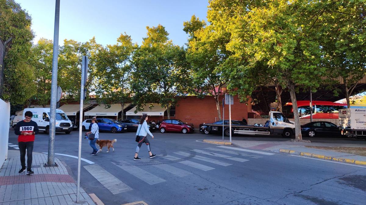 Paso de peatones junto a la estación de autobuses de Badajoz donde ha sido atropellada la mujer.