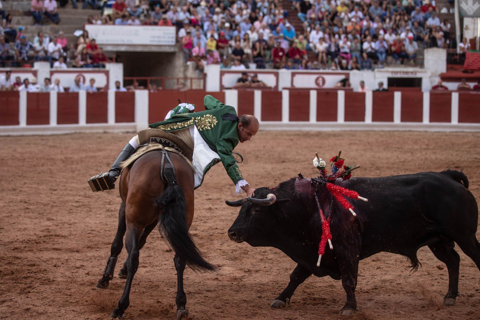 GALERÍA | La corrida de rejones de Zamora, en imágenes