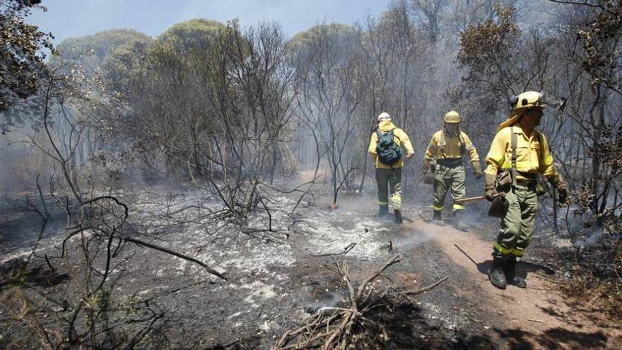 Alarma junto a Los Morales por un fuego que pudo ser provocado