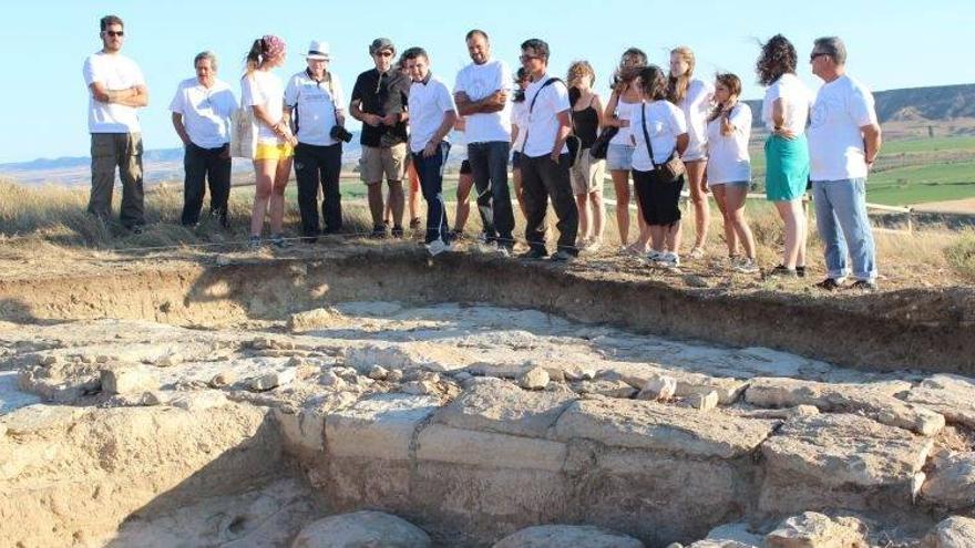 Hallan restos prehistóricos en Castelflorite