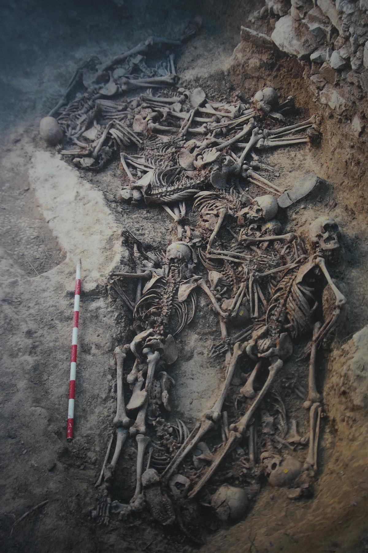 Exhumació de la Fossa de Can Cadet, a Gurb