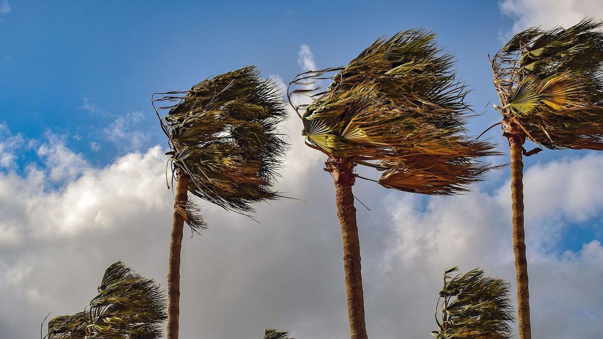 Las fuertes rachas de viento están afectando a varios municipios de la provincia de Catellón este jueves.