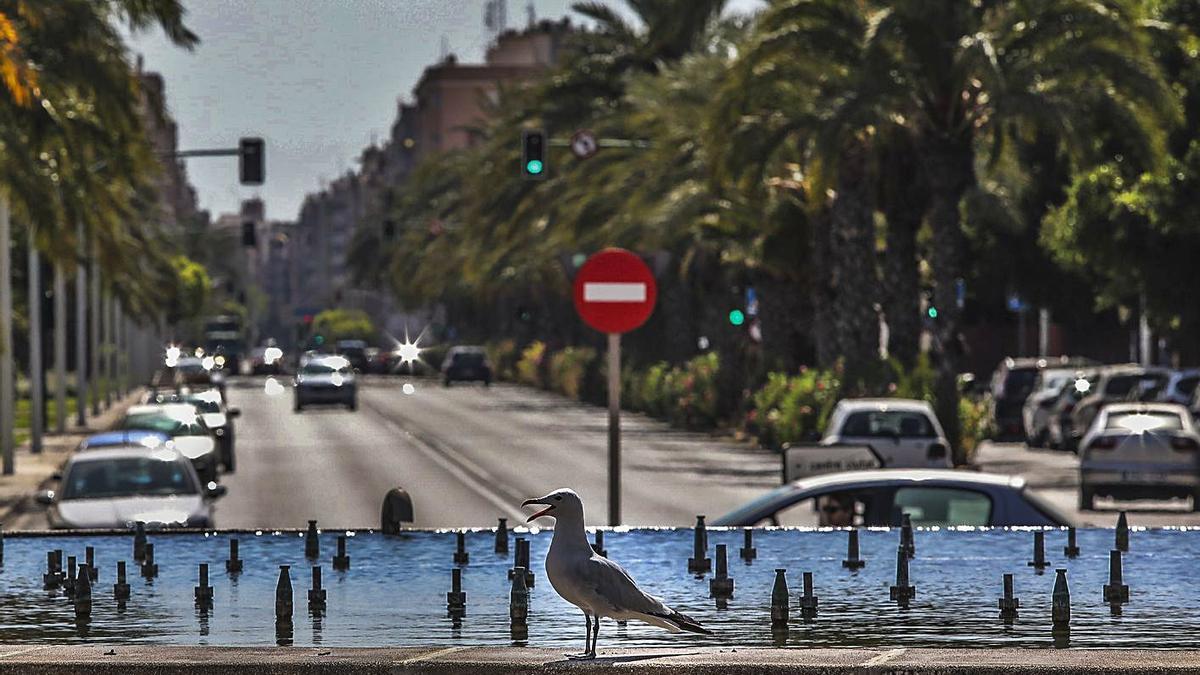 El nuevo carril bici discurrirá a lo largo de la avenida de Alicante, hasta llegar casi a la fuente. | ANTONIO AMORÓS