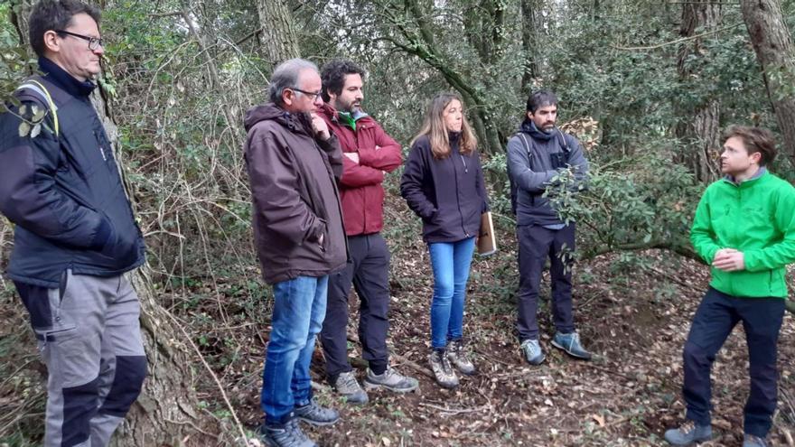 Tècnics de la Diputació i representants del Consell i ajuntaments en zones afectades