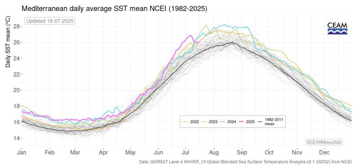 Temperatura de la superficie del nivel del Mediterráneo