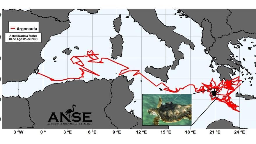 Recorrido de la tortuga Argonauta.