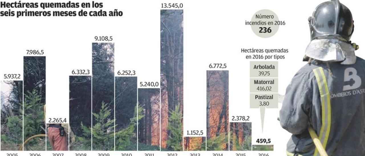 El fuego quemó en el primer semestre del año menos monte que nunca desde 1990