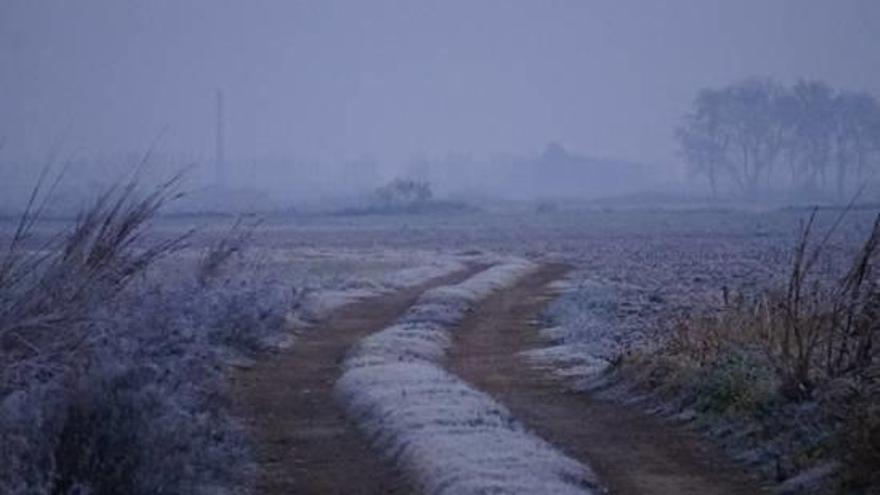 L&#039;onada de fred s&#039;acomiada amb valors de -11,6  graus