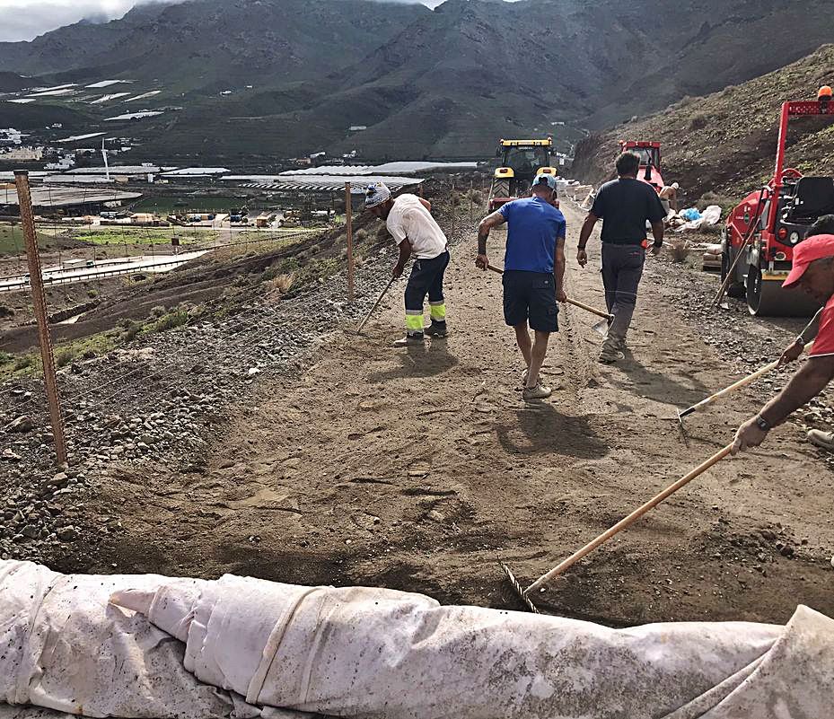 Preparación del terreno antes de acometer las labores. |