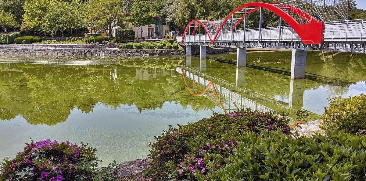 Vista del embalse de As Conchas invadido de cianobacterias por vertidos agroganaderos contaminados | FDV