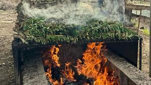 El calçot tiene Indicación Geográfica Protegida (IGP) y solo se cultiva en cuatro comarcas: Alt Camp, Baix Camp, Tarragonès y Baix Penedès.
