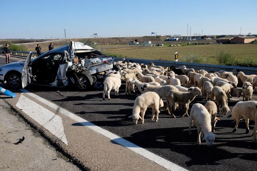 Accidente en la A-11