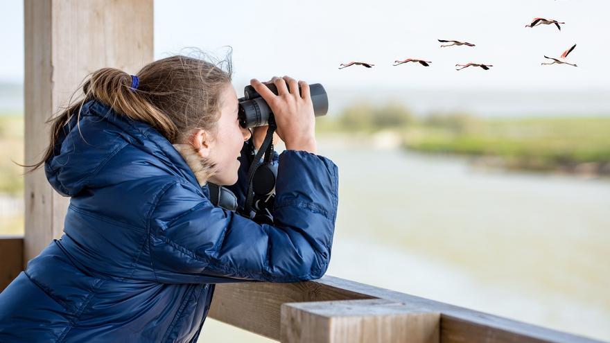 Más de 200 actividades en toda España en el Día de las Aves, este fin de semana