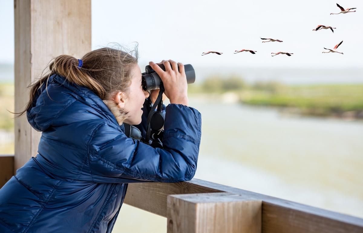 Este fin de semana es la oportunidad perfecta para observar aves