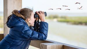 Este fin de semana es la oportunidad perfecta para observar aves