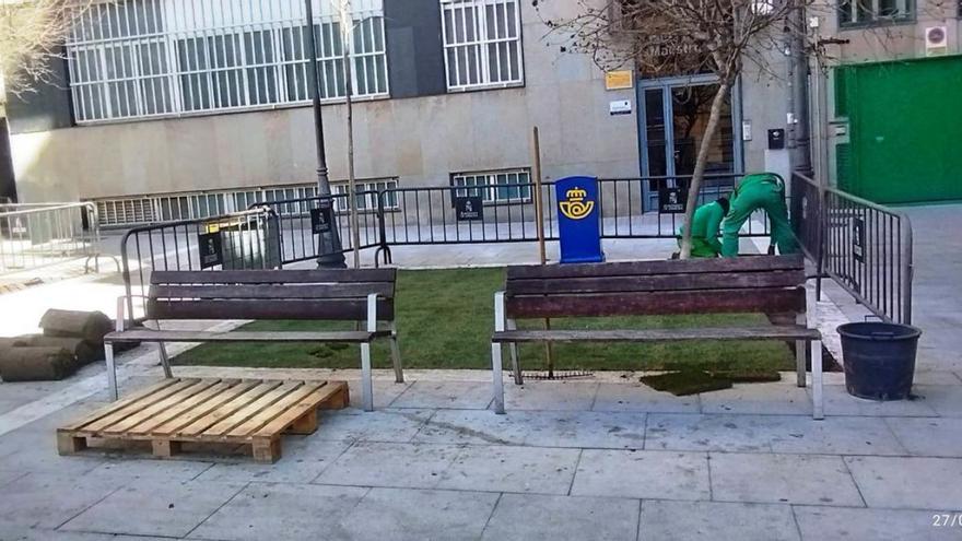 Operarios municipales colocan los tepes de césped en la plaza del Maestro. | Cedida