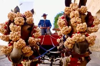 Los carruajes de tradición recorren Córdoba