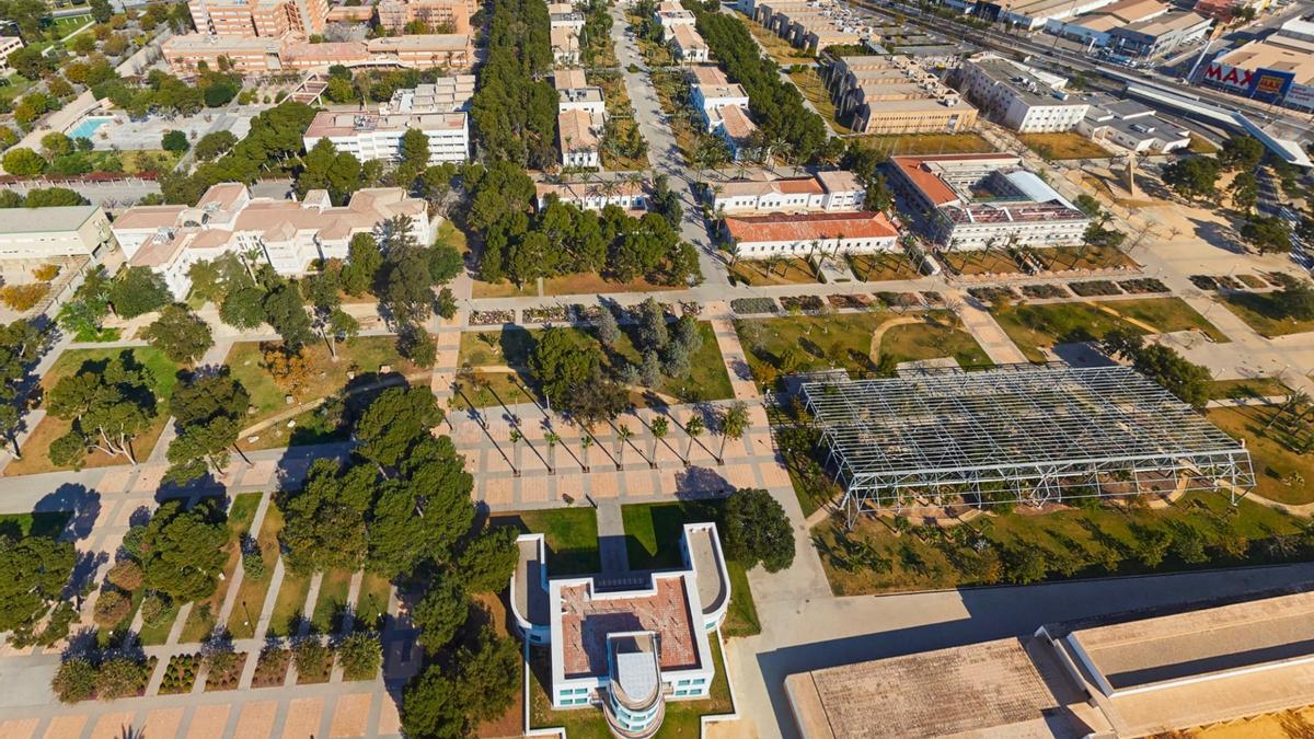 Vista general de la Universidad de Alicante, donde se celebrarán las jornadas.