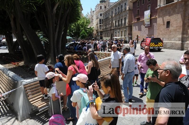 Cae parte del ficus de Santo Domingo en Murcia