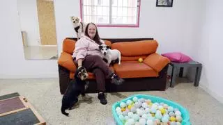 A la guardería canina se va a socializar