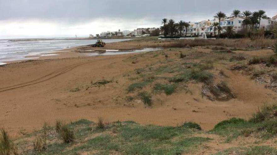Dénia exigirá al Consell que proteja sus dunas